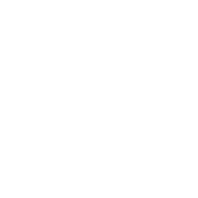 DUNLOP